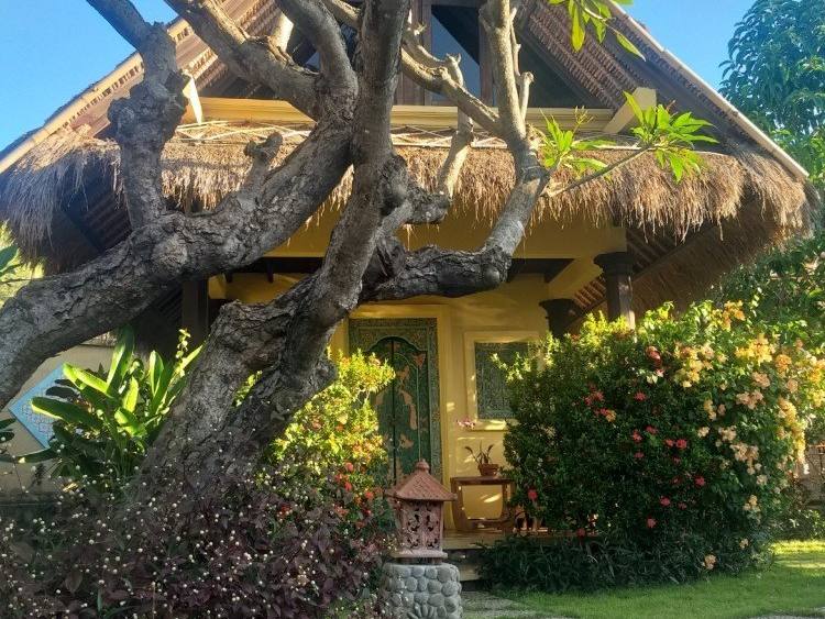 Garden path leading to a thatched Beach Cottage