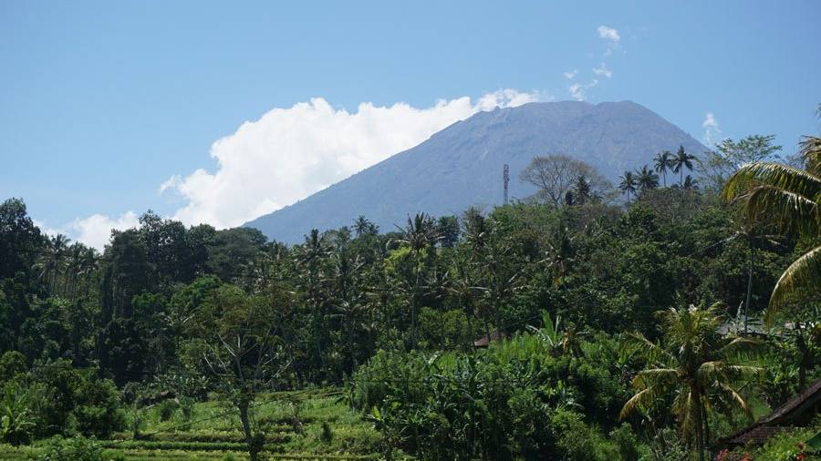 Mount Agung rising above palm trees and rice terraces near Amed