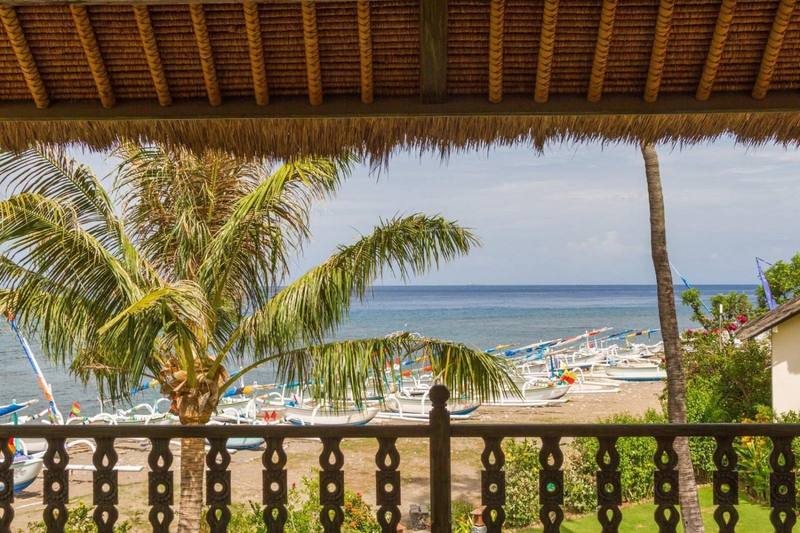 View from a beachfront terrace over palm trees to the sea and the fishing boats