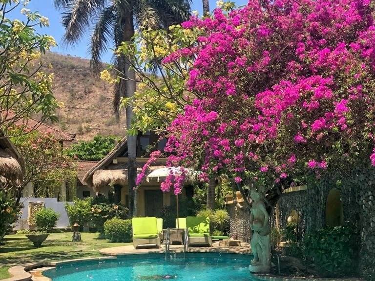 The swimming pool surrounded by pink bougainvillea and palm trees
