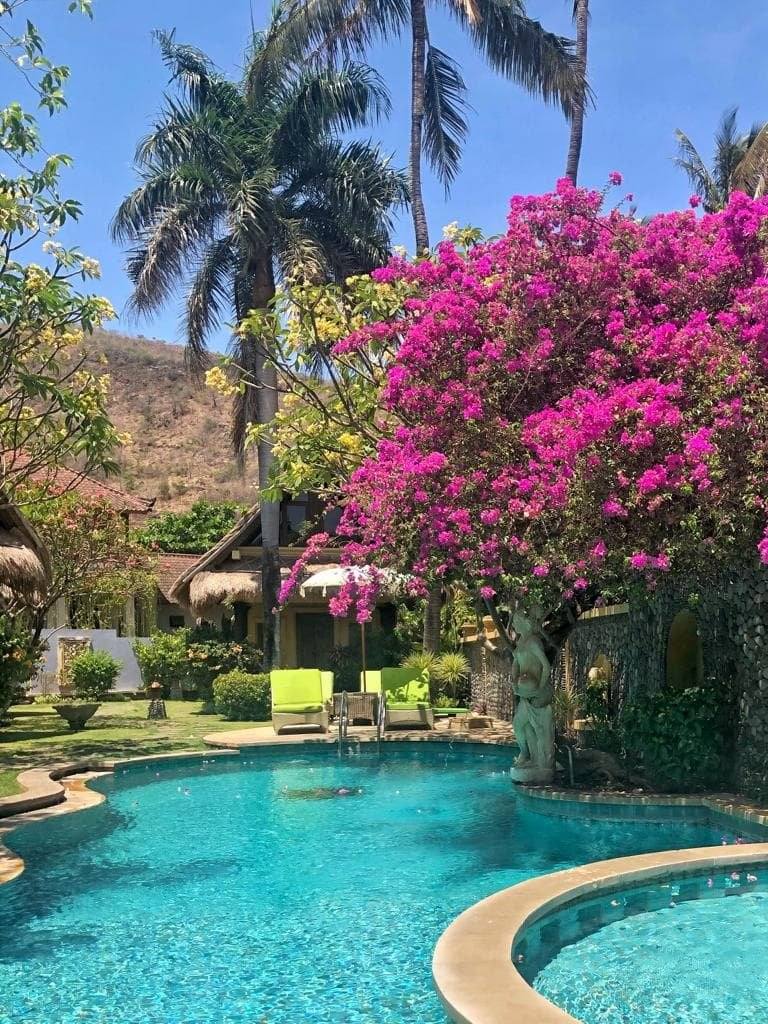The swimming pool surrounded by pink bougainvillea and palm trees